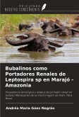 Bubalinos como Portadores Renales de Leptospira sp en Marajó - Amazonia