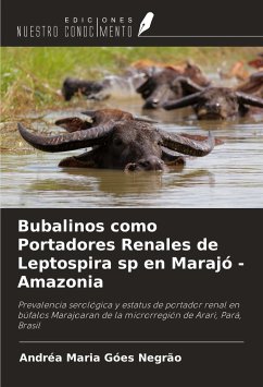 Bubalinos como Portadores Renales de Leptospira sp en Marajó - Amazonia - Negrão, Andréa Maria Góes