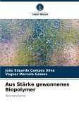 Aus Stärke gewonnenes Biopolymer