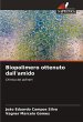 Biopolimero ottenuto dall'amido - Bild 1