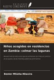 Niños acogidos en residencias en Zambia: colmar las lagunas