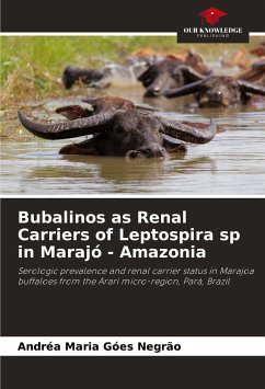 Bubalinos as Renal Carriers of Leptospira sp in Marajó - Amazonia - Negrão, Andréa Maria Góes