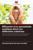 Efficacité d'un parasitoïde exotique élevé sur différents substrats