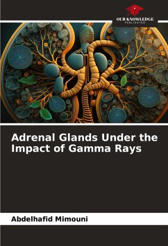 Adrenal Glands Under the Impact of Gamma Rays - Mimouni, Abdelhafid