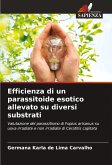 Efficienza di un parassitoide esotico allevato su diversi substrati