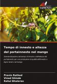 Tempo di innesto e altezza del portainnesto nel mango