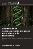 Análisis de la sobreexpresión de genes candidatos a la resistencia