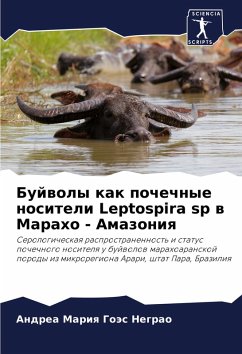 Bujwoly kak pochechnye nositeli Leptospira sp w Maraho - Amazoniq Cover Bujwoly kak pochechnye nositeli Leptospira sp w Maraho - Amazoniq