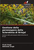 Gestione della peronospora della Sclerotinia di Brinjal