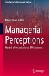 Managerial Perceptions - Bild 1