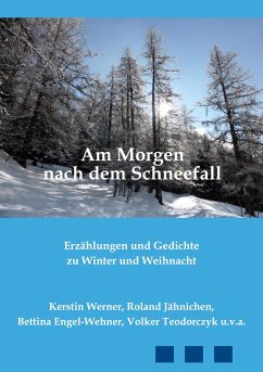 Am Morgen nach dem Schneefall - Werner, Kerstin; Jähnichen, Roland; Engel-Wehner, Bettina; Teodorczyk, Volker