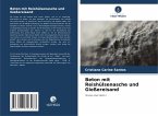 Beton mit Reishülsenasche und Gießereisand