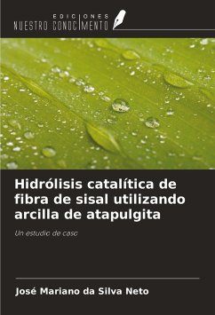 Hidrólisis catalítica de fibra de sisal utilizando arcilla de atapulgita - Da Silva Neto, José Mariano