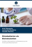 Rhizobakterien als Bioinokulantien