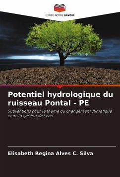 Potentiel hydrologique du ruisseau Pontal - PE - Regina Alves C. Silva, Elisabeth