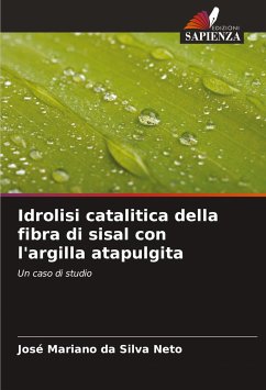 Idrolisi catalitica della fibra di sisal con l'argilla atapulgita - da Silva Neto, José Mariano