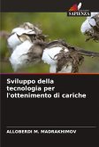 Sviluppo della tecnologia per l'ottenimento di cariche