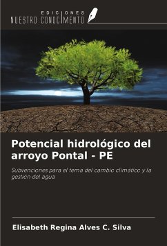 Potencial hidrológico del arroyo Pontal - PE - Regina Alves C. Silva, Elisabeth