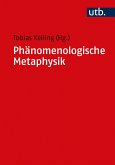 Phänomenologische Metaphysik (eBook, PDF)