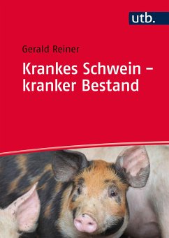 Krankes Schwein - kranker Bestand (eBook, PDF) - Reiner, Gerald