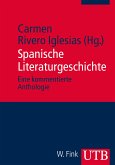 Spanische Literaturgeschichte (eBook, PDF)