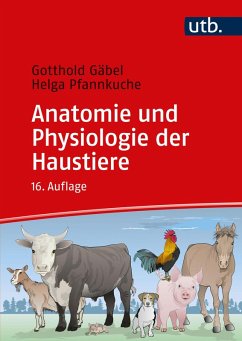 Anatomie und Physiologie der Haustiere (eBook, PDF) - Gäbel, Gotthold; Pfannkuche, Helga Anatomie und Physiologie der Haustiere (eBook, PDF) - Gäbel, Gotthold; Pfannkuche, Helga