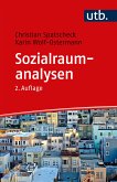 Sozialraumanalysen (eBook, PDF)