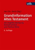 Grundinformation Altes Testament (eBook, PDF)