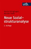 Neue Sozialstrukturanalyse (eBook, PDF)