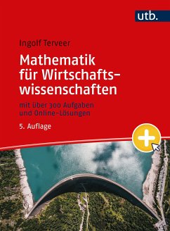 Mathematik für Wirtschaftswissenschaften (eBook, PDF) - Terveer, Ingolf