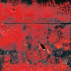 Cover Concrete Winds (Jewel Case)