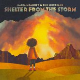 Shelter From The Storm