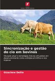 Sincronização e gestão do cio em bovinos