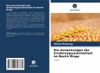 Die Auswirkungen der Ernährungsunsicherheit im Bezirk Binga