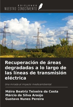 Recuperación de áreas degradadas a lo largo de las líneas de transmisión eléctrica - Teixeira Da Costa, Máira Beatriz; Silva Araújo, Márcio Da; Nunes Pereira, Gustavo