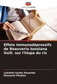 Effets immunodépressifs de Beauveria bassiana Vuill. sur l'hispa du riz