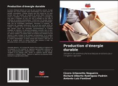 Production d'énergie durable - Urbanetto Nogueira, Cicero;Rodríguez Padrón, Richard Alberto;Fantinel, Antonio Luiz