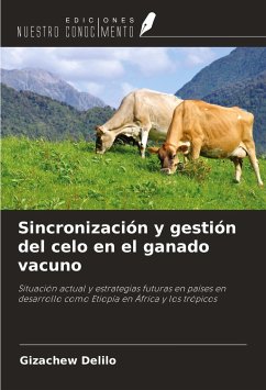 Sincronización y gestión del celo en el ganado vacuno - Delilo, Gizachew