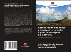 Récupération des zones dégradées le long des lignes de transport d'électricité - Teixeira da Costa, Máira Beatriz;Silva Araújo, Márcio da;Nunes Pereira, Gustavo