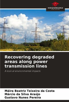 Recovering degraded areas along power transmission lines - Teixeira da Costa, Máira Beatriz;Silva Araújo, Márcio da;Nunes Pereira, Gustavo