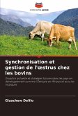 Synchronisation et gestion de l'¿strus chez les bovins