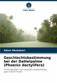 Geschlechtsbestimmung bei der Dattelpalme (Phoenix dactylifera)