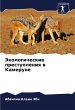 Jekologicheskie prestupleniq w Kamerune - Bild 1
