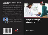 Segmentazione di fegato e tumori in immagini TC