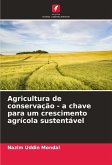 Agricultura de conservação - a chave para um crescimento agrícola sustentável
