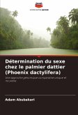 Détermination du sexe chez le palmier dattier (Phoenix dactylifera)