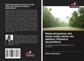 Determinazione del sesso nella palma da dattero (Phoenix dactylifera)