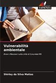 Vulnerabilità ambientale