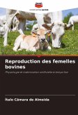 Reproduction des femelles bovines