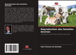 Reproduction des femelles bovines - Câmara de Almeida, Ítalo